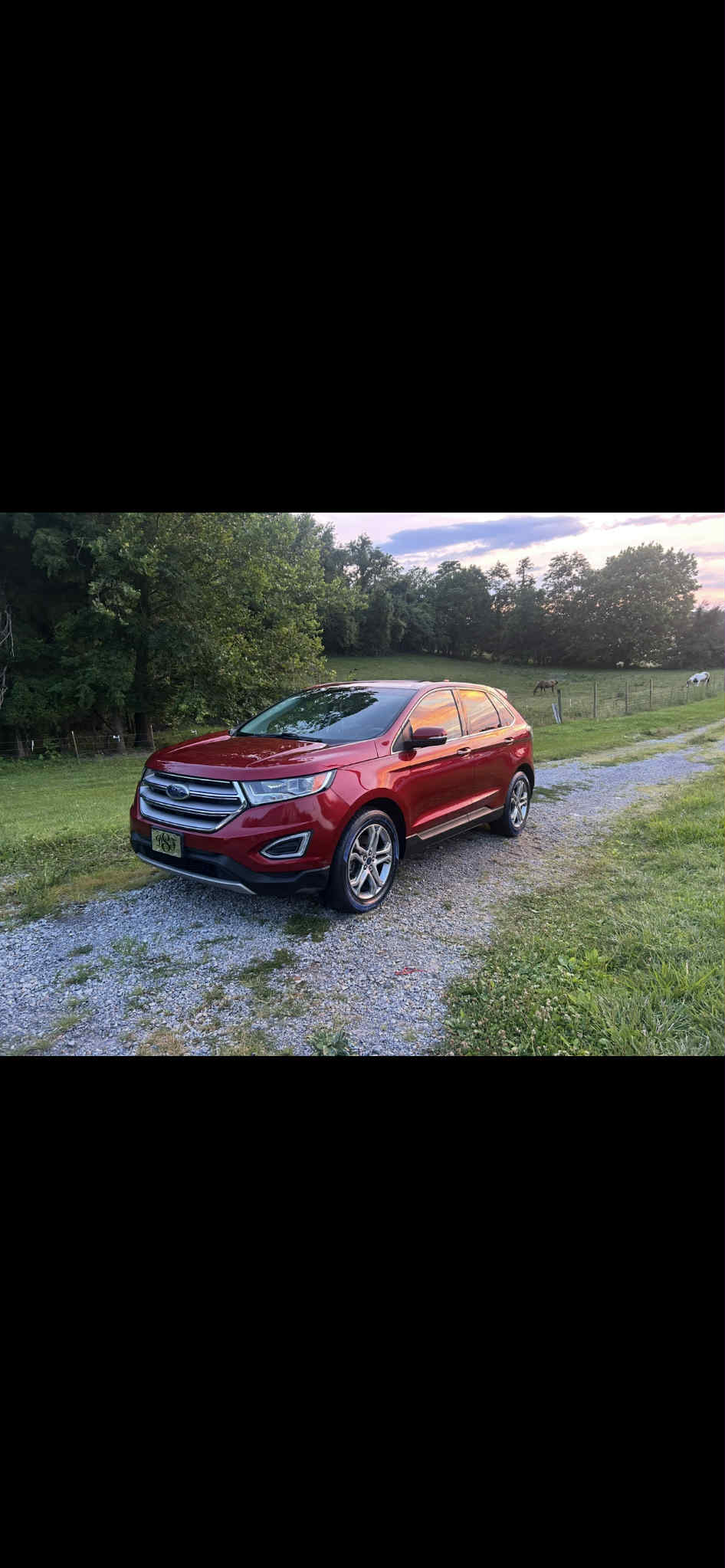 Medium (SUV/Jeep)